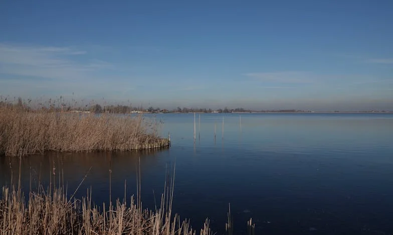 Când Dragostea Devine Singura Putere: Povestea Mariei și a lui Doru