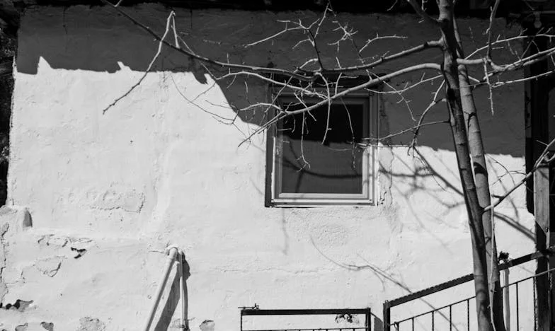 Casa șerpilor – Povestea unei văduve românce