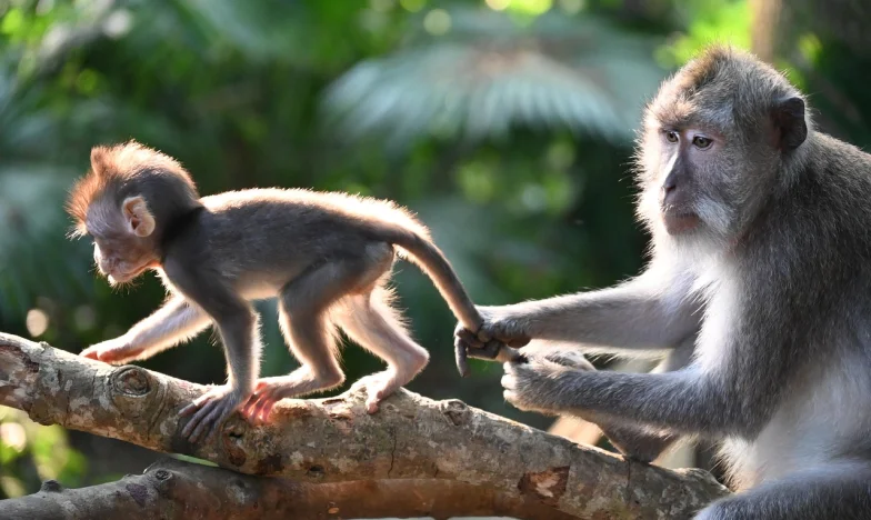 Cioburi de sticlă și dimineți de duminică: Cum am găsit puterea când lumea mea s-a prăbușit