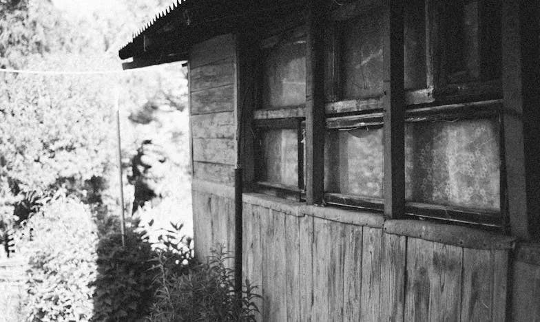 Familia pe care nu am avut-o niciodată – povestea Veronicăi