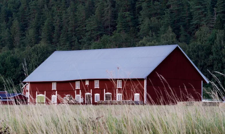 „Mi-ai frânt încrederea într-o singură noapte” – Povestea unei iubiri distruse de suspiciune