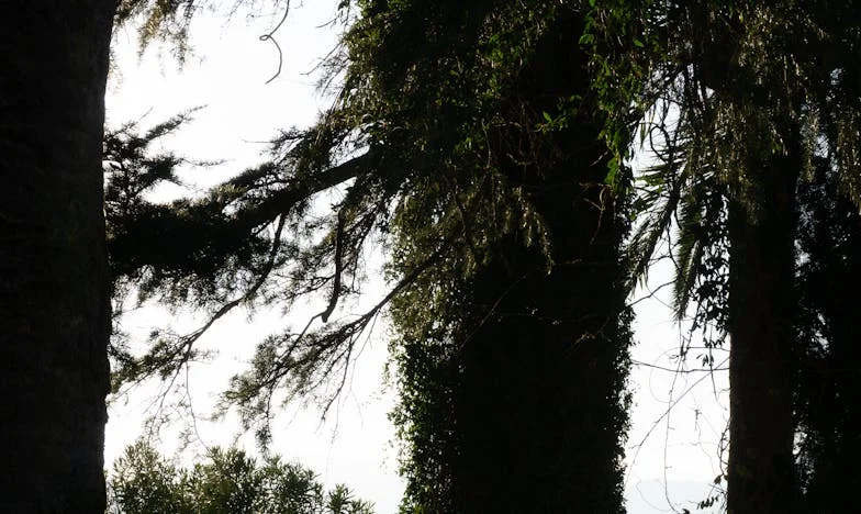 Ziua de naștere a Lenei și umbra trecutului: Când dragostea pentru un copil devine câmp de luptă