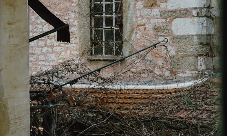 Ziua în care mâinile mamei mele au schimbat totul: Povestea absolvirii mele