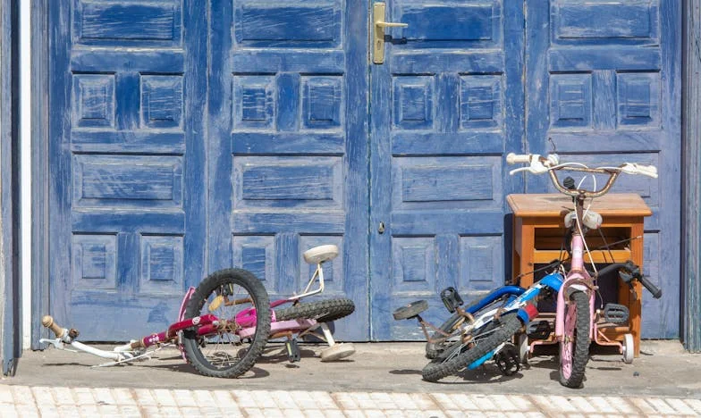 Fata menajerei care a îndrăznit să vorbească: Cuvintele mele au schimbat vieți