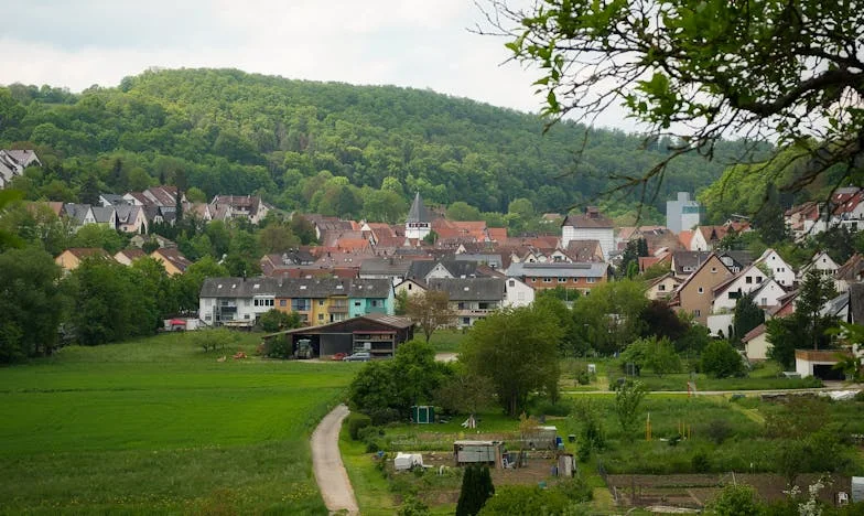 Amikor minden megállt: Éva története a veszteségről, újrakezdésről és megbocsátásról