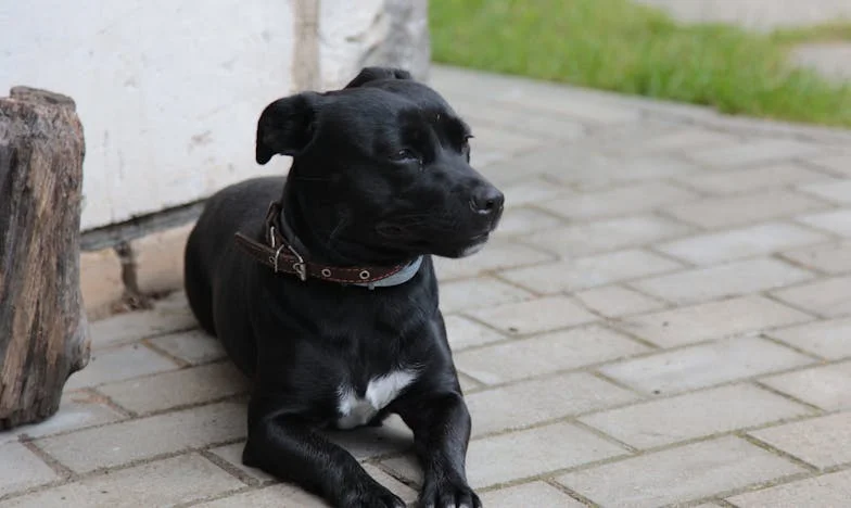 Když táta nezná svou dceru: Příběh jedné rodiny z Brna
