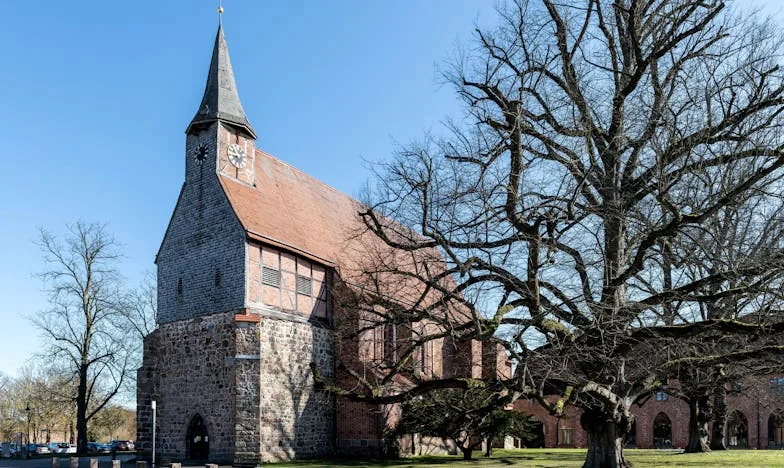 Štěně jménem Naděje: Když smutek roztrhá rodinu na kusy