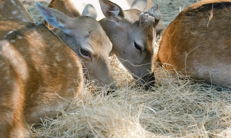 Cesta, která nikam nevedla: Příběh o hledání nového začátku