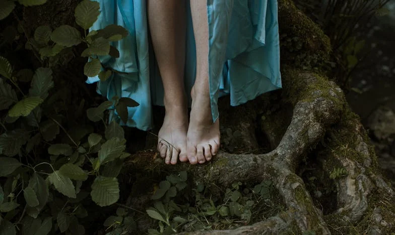 Davidova závěť: Zrada, nebo nedorozumění?