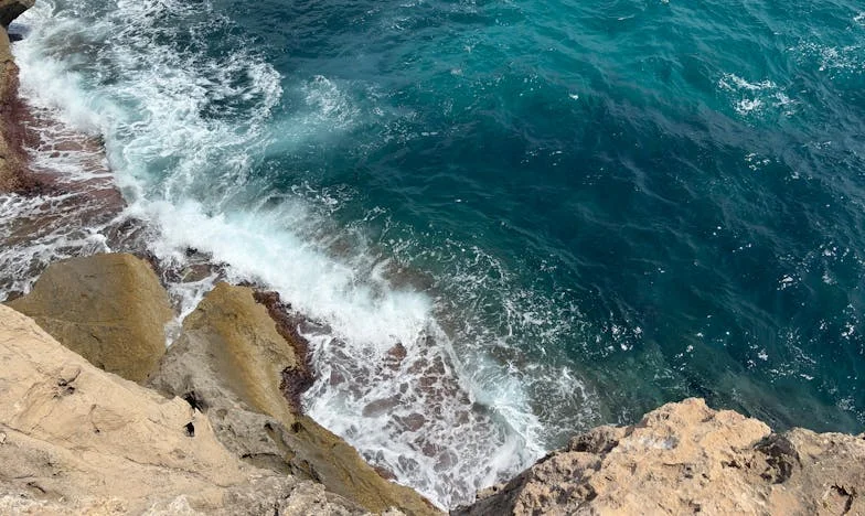 Dědictví rozdělené bolestí: Příběh o nespravedlnosti v rodině