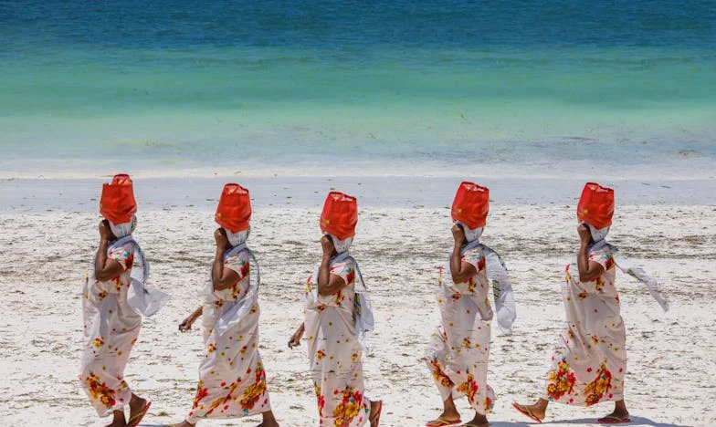 Dnes jsem svého syna a snachu vyhodila z domu – poprvé jsem řekla "ne"