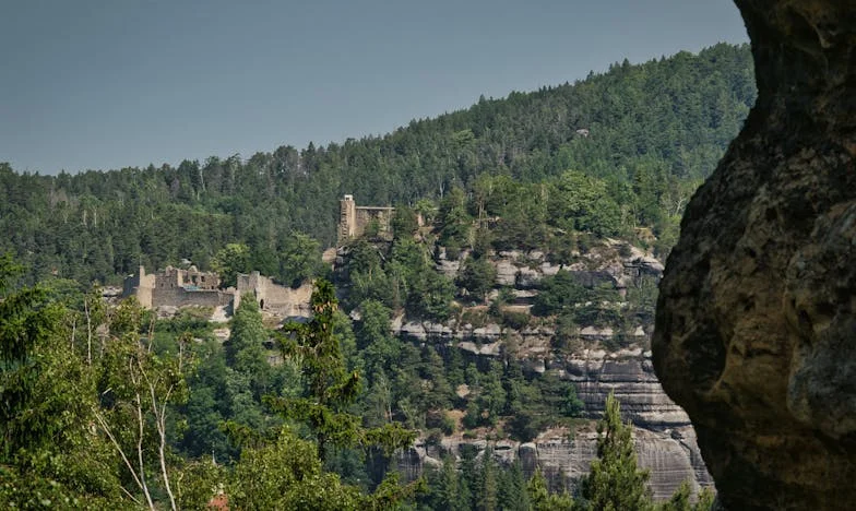 Když rodina překročí práh: Boj o klidné Vánoce