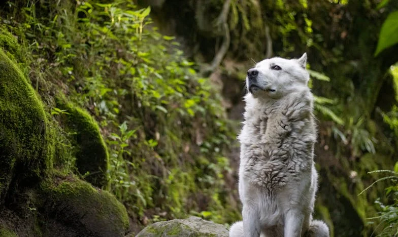 Když tchyně vstoupila do mého světa: Příběh o hranicích, které jsem musela postavit