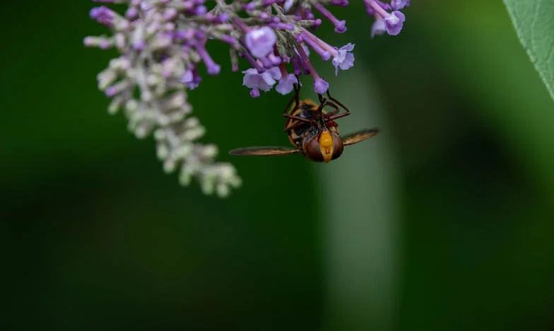 Moje rodina jsou opravdu příživníci: S Martinem jsme už měli dost jejich chování a rozhodli se je naučit lekci