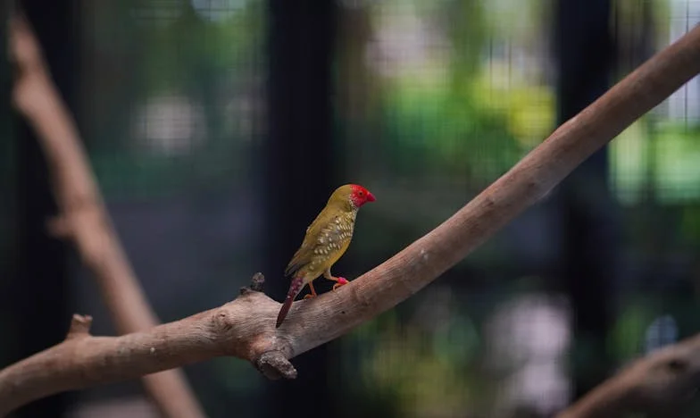 Můj muž, jeho peněženka a moje vězení: Příběh jedné české manželky