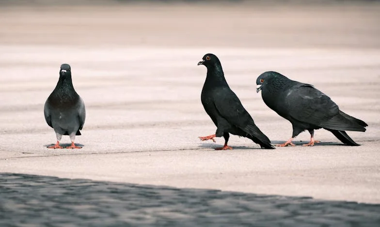 Neděle, kdy se všechno změnilo: Pravda, kterou jsem nemohla zamlčet