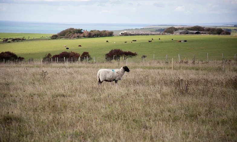Deník v prachu: Pravda z podzemí, která mi změnila život