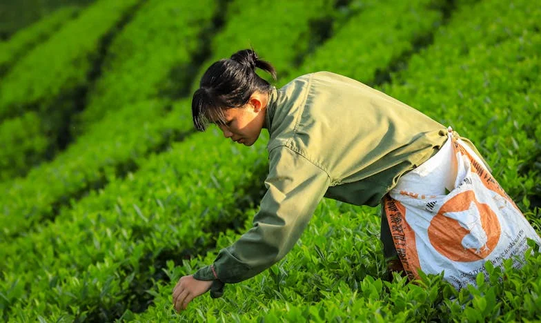 Děti chtějí od babičky domů dřív – znamení, že něco není v pořádku? Můj příběh o rodinných dilematech a odvaze naslouchat