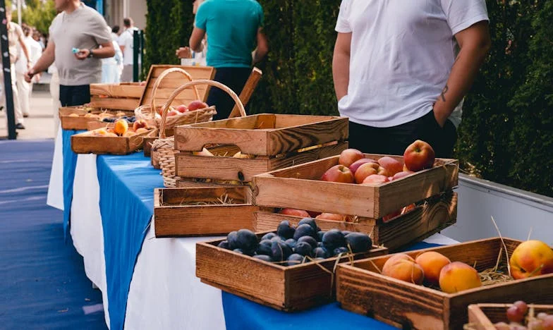Dva cesty k pravdě: Příběh ztracených dvojčat a jedné ženy