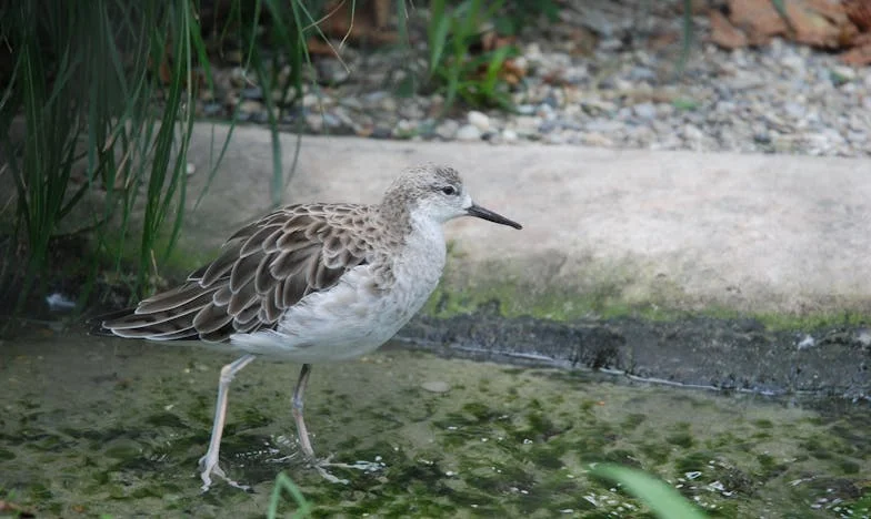 Jméno po dědovi, nebo vlastní volba? Rodinná tradice na hraně
