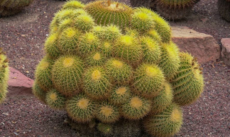 Kartka bez podpisu: Návrat minulosti do malého města