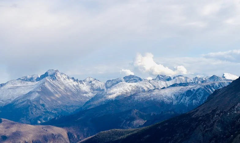 „Katko, pojď na kafe!” – Když se moje bývalá tchyně vrátila do mého života, všechno se změnilo