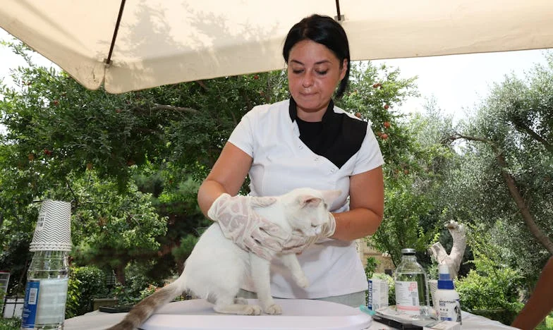 Když láska nestačí: Příběh o rodinných rozkolech