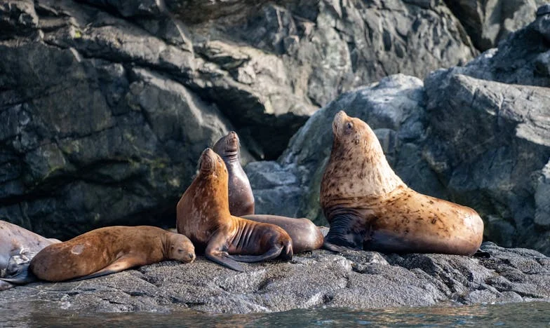 Když moje dcera přišla do nemocnice – příběh o tom, jak snadno lze zranit vlastní matku