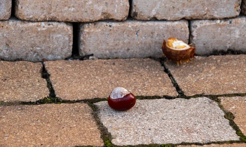 Když se z nejlepších kamarádek stanou cizí lidé: Příběh o přátelství, které zničily mateřské priority