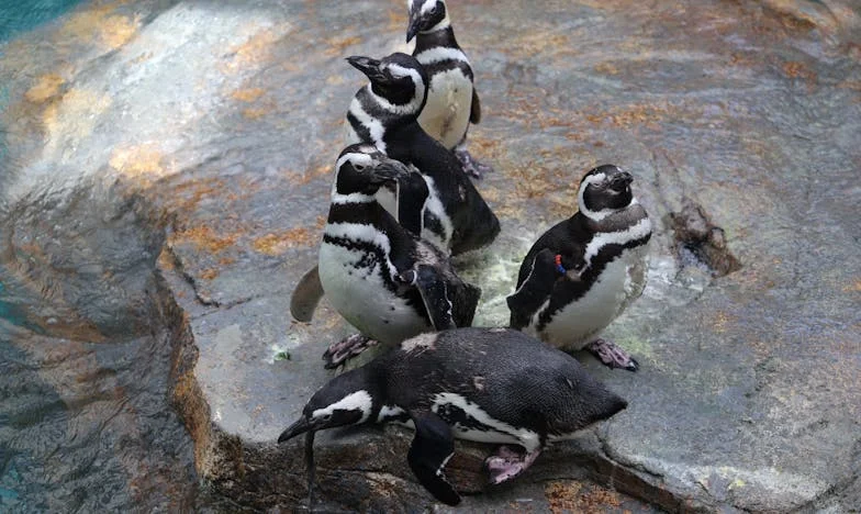 Když syn chce odejít: Léto na chatě, které změnilo naši rodinu