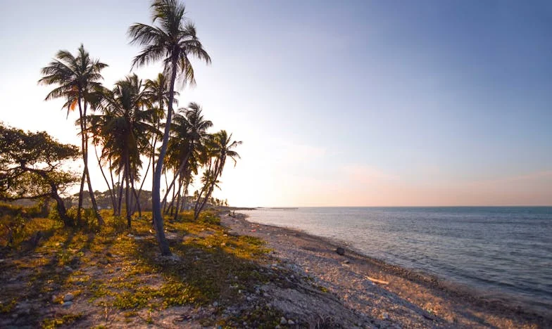 Květované šaty a slzy pod reflektory: Moje noc pod světly maturitního plesu