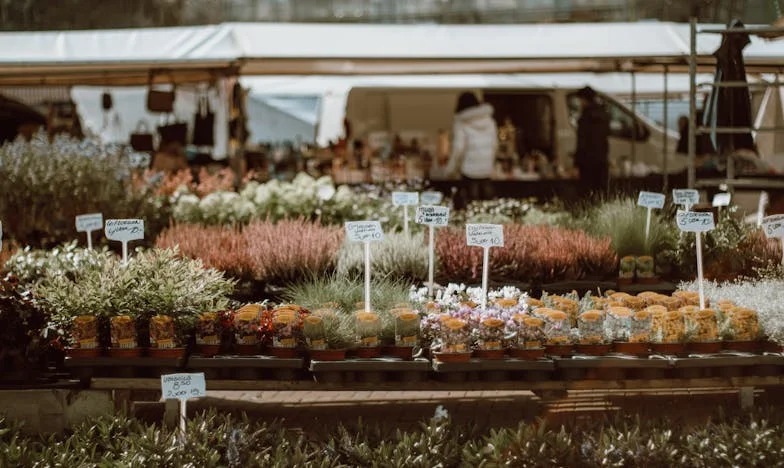 Máma nikdy není spokojená: Příběh o tom, jak rodinné neshody dusí mladé manželství