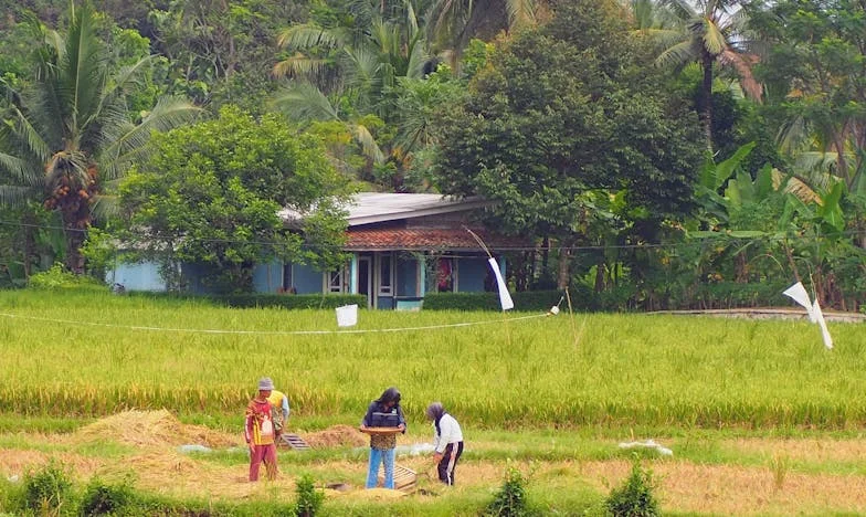 Matčina vina: Osm let kojení mého syna