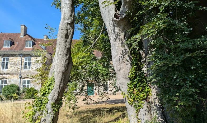 Mezi čtyřmi stěnami: Když rodina znamená riziko