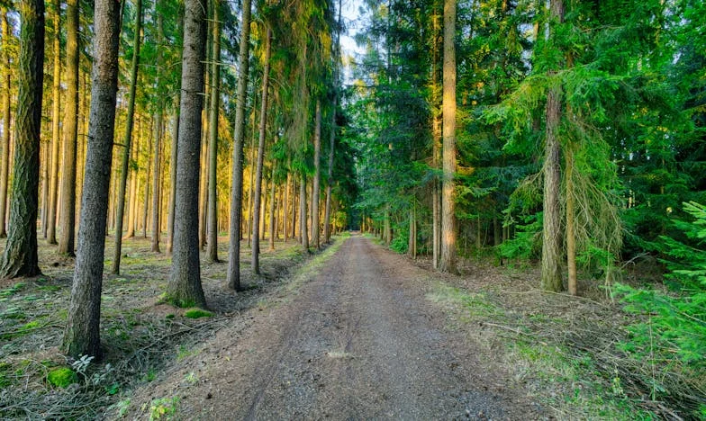 Mezi dvěma ohni: Když manžel odmítne navštívit mou maminku