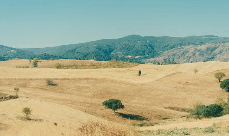 Mezi láskou a hranicemi: Jak jsem se naučila nechat syna jít