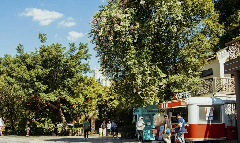 Mezi láskou a výmluvami: Příběh o mé tchyni, dětech a nevyřčených pravdách