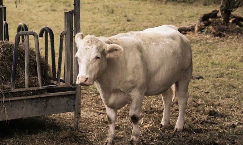Místo aby se postaral o naše dítě, obrátil se na svou matku: Příběh o zklamání a odvaze říct dost