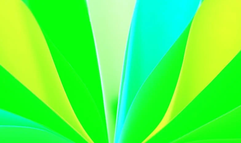 Návrat stínů: Když se otec vrátí po třiceti letech