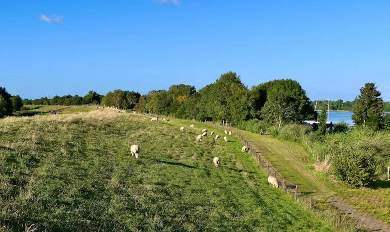 Není to jako ve filmu, ale je to můj život: Příběh o rodině, zradě a odpuštění