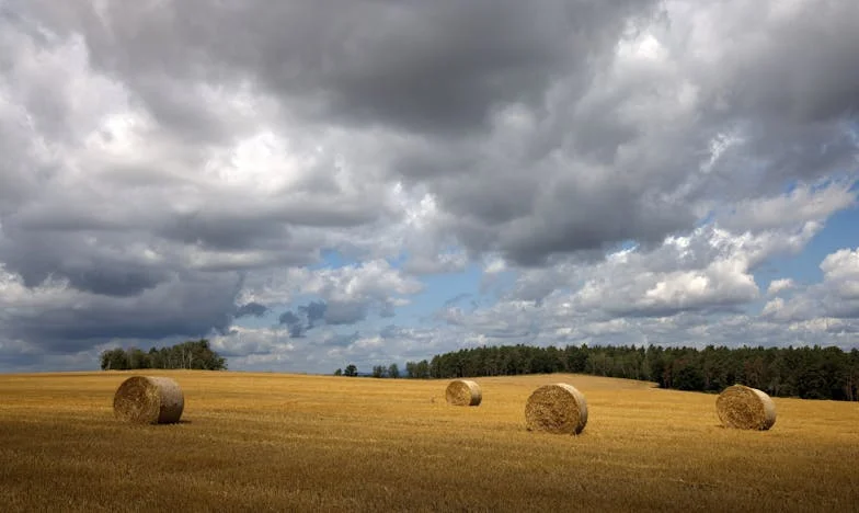 Neviditelná hospodyňka: Rozbité narozeniny