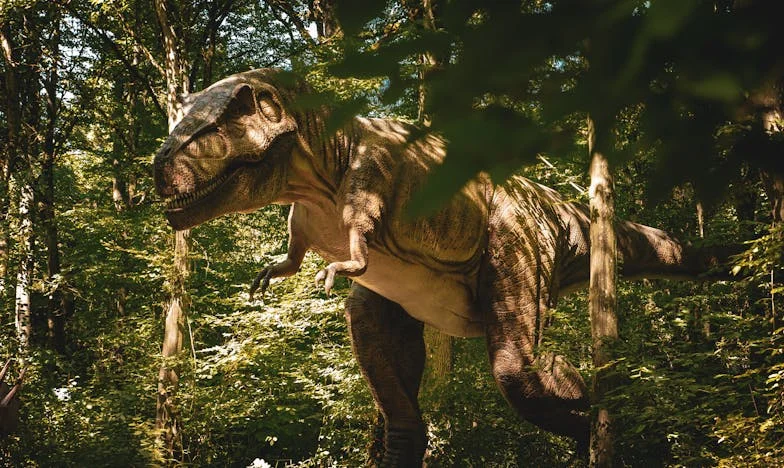 Pod jednou střechou: Když důvěra zmizí