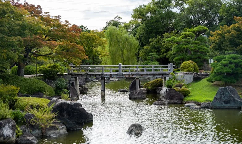 Přines vnoučata, ale nezapomeň peněženku: Příběh o rodině, penězích a stáří