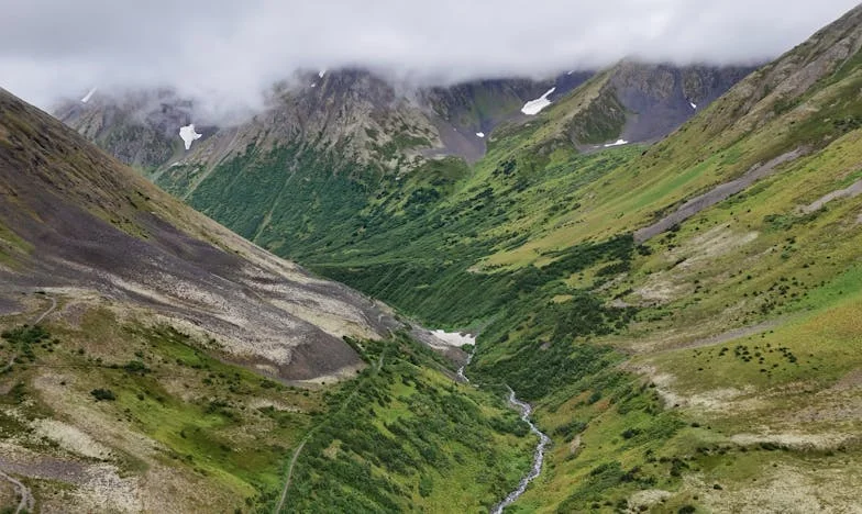 Tchyně v pasti: Když se snacha stane noční můrou