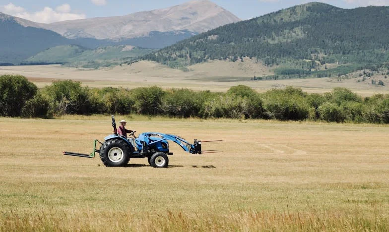 Tradice, která ničí naši rodinu: Příběh o nespravedlnosti a mateřské lásce