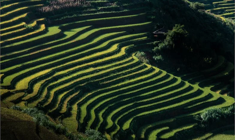 Tři měsíce mezi dvěma matkami: Odpustit nevěru a najít ztracenou rodinu