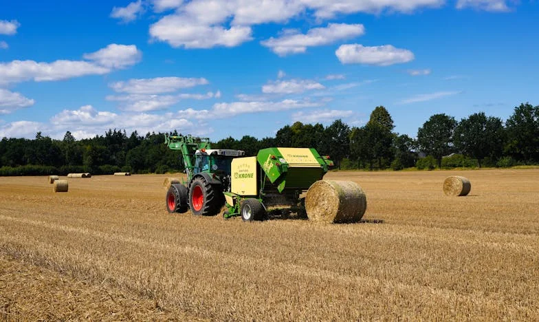 Za zdí: Kde končí tolerance a začíná boj o vlastní klid