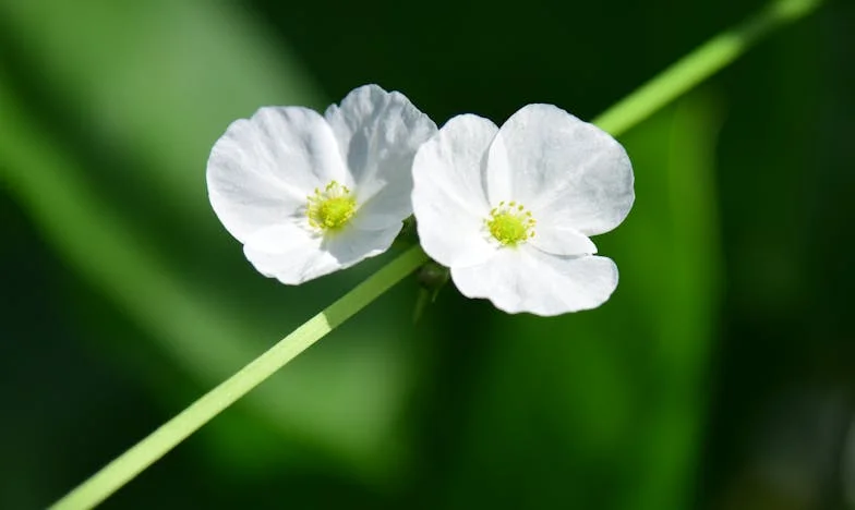 Bolí to víc, než jsem čekal: Rodiče mě jen využili