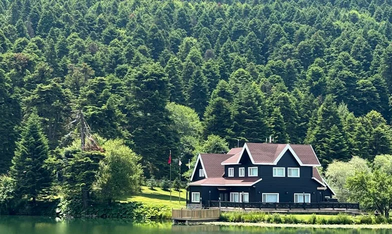 Bratrova svatba, moje noční můra: Když se rodina rozpadá kvůli penězům