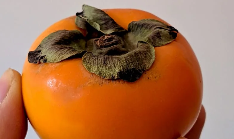 Dům, který rozděluje: Příběh o rodině, spravedlnosti a odvaze matky